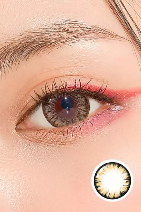 Back to Basic Macaron Brown