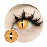 Sweety Crazy Orange Demon Eye / Cat Eye (New)