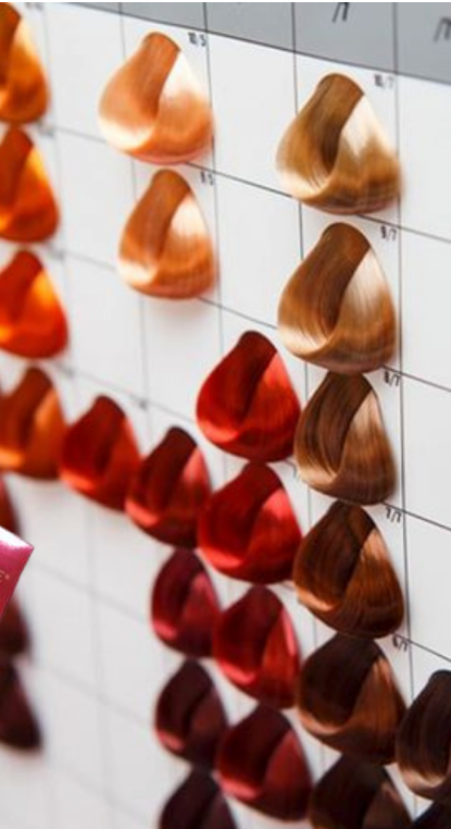 Terme Color System Color Chart