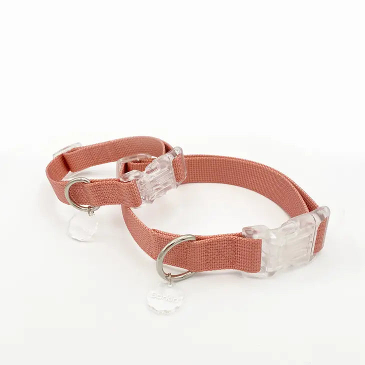 Barkin' Buckle Collar - Terracotta