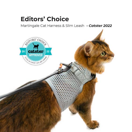 Sleepypod Martingale Cat Harness