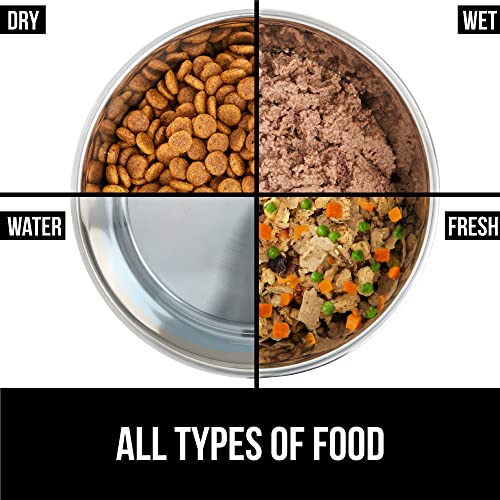 Stainless Steel Metal Dog Bowl Set of 2