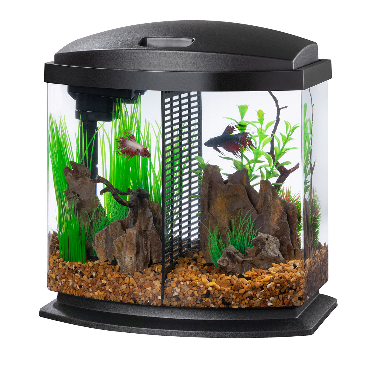 Aqueon LED BettaBow - Black - 2.5 gal
