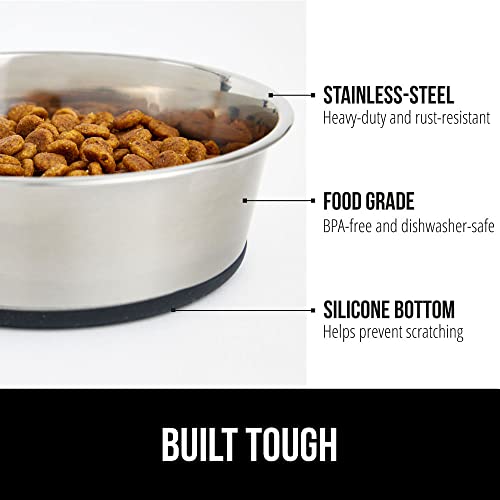 Stainless Steel Metal Dog Bowl Set of 2