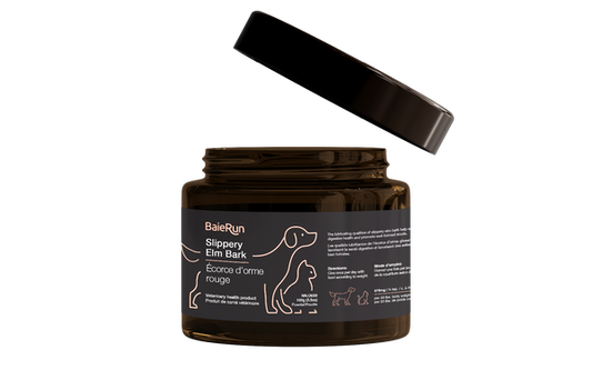 Baie Run Slippery Elm