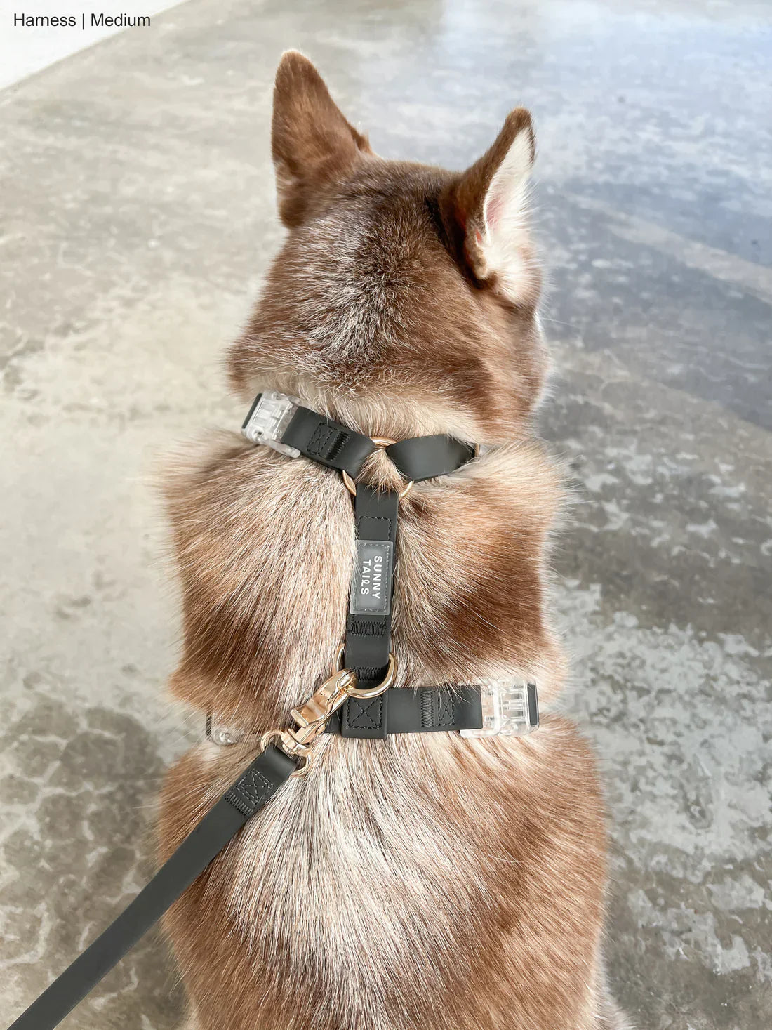 Sunny Tails Waterproof Harness - Black