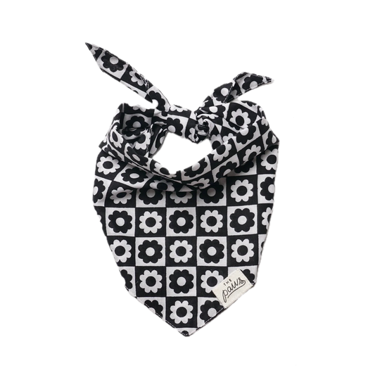 The Paws Bandana - Tux Flower Checkers