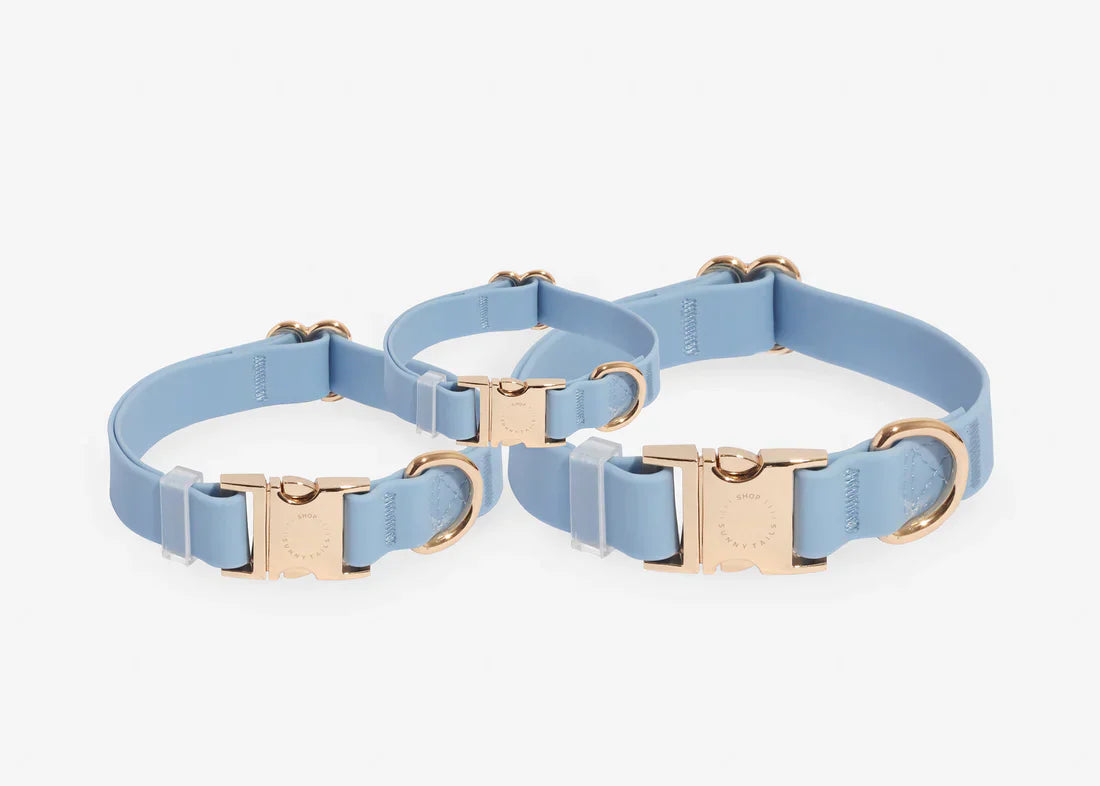 Sunny Tails Waterproof Collar - Malibu Blue