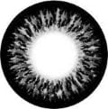 Vassen Ash Black